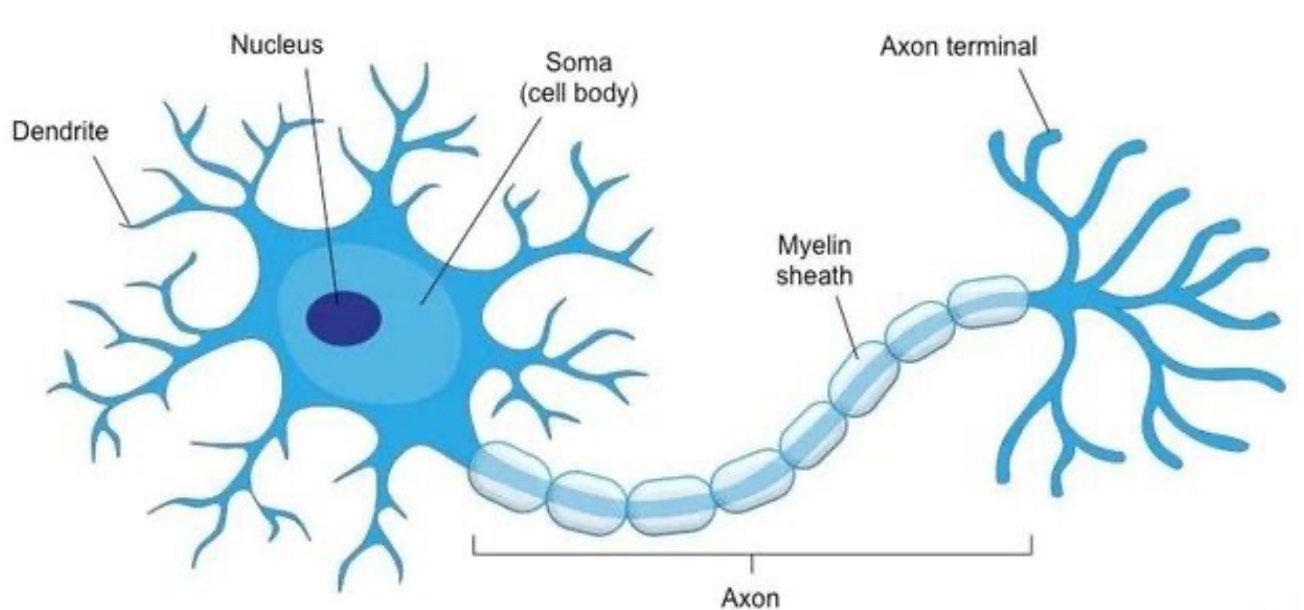 image-20240424091712887